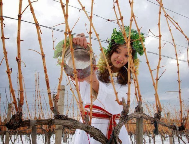 St Trifon - the Saint Of Grapes and Wine (Bulgaria)