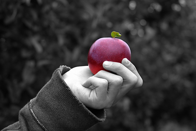 Chapter Three {Jonas’ Dwelling}: