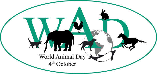 World pet day (Belgium)