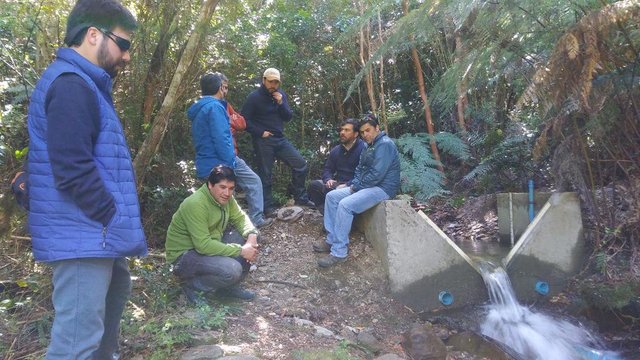Proyecto Reforestaciòn