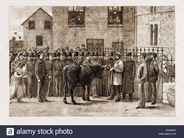 Courts Began to Seize Land