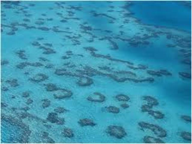 SEGUNDA GRAN EXTINCIÓN