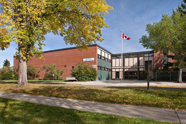 Introductory Field Experience (IFX)