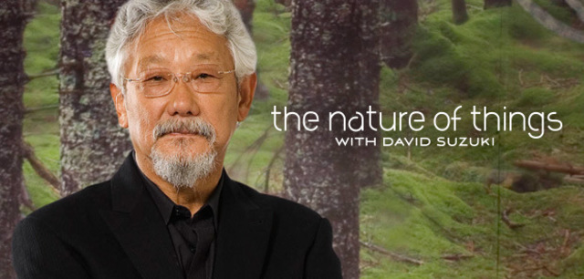 Radio and Television