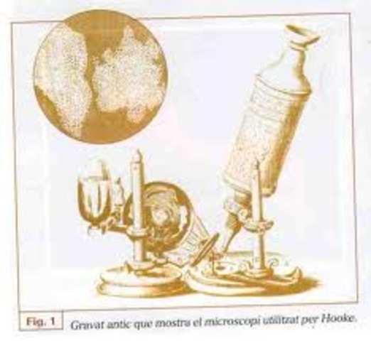 Matthias J. Schleiden i Theodor Schwann