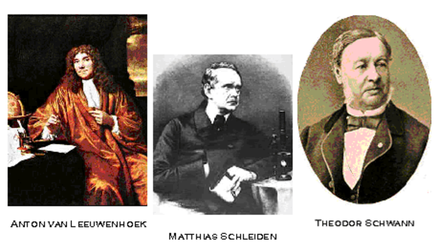 Matthias J. Schleiden,Theodor Schwann van establir la Teoria cel·lular