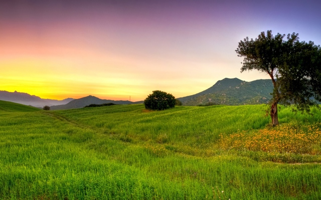 LA INVASIÓN DE LA HIERBA