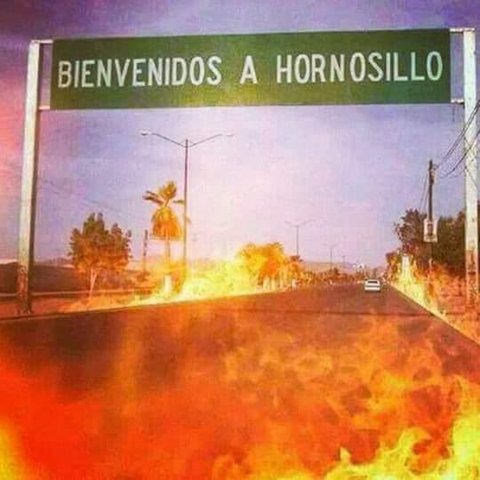 EL AÑO MAS CALUROSO EN LA HISTORIA