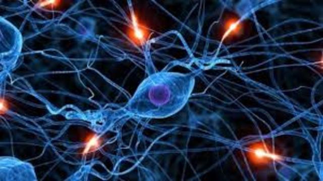 Warren McCulloch y Walter Pitts,