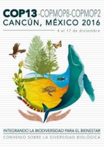 del 4 al 17 de diciembre