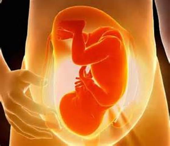 Eighth Month of Pregnancy