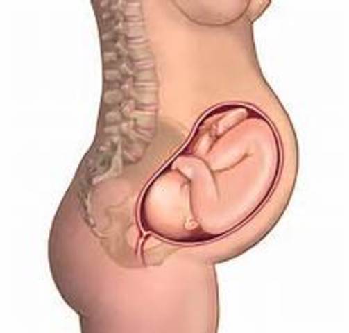 Ninth Month of Pregnancy