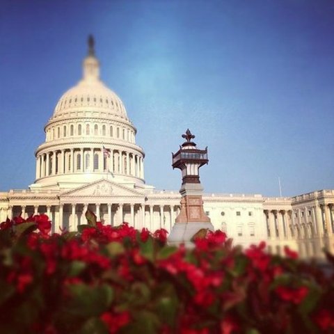 My Trip to Washington D.C.