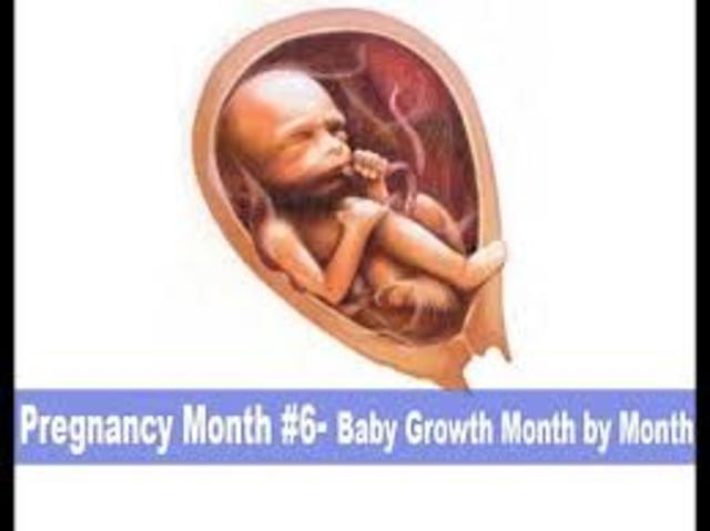 Sixth Month of Pregnancy