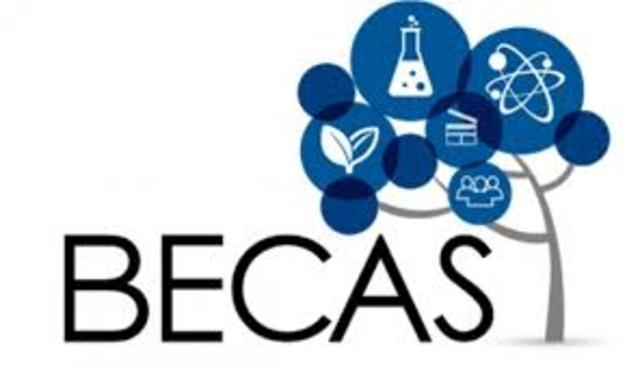 solicito becas para pagar matrícula