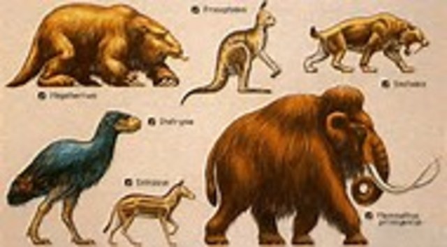 Cuaternario y terciario