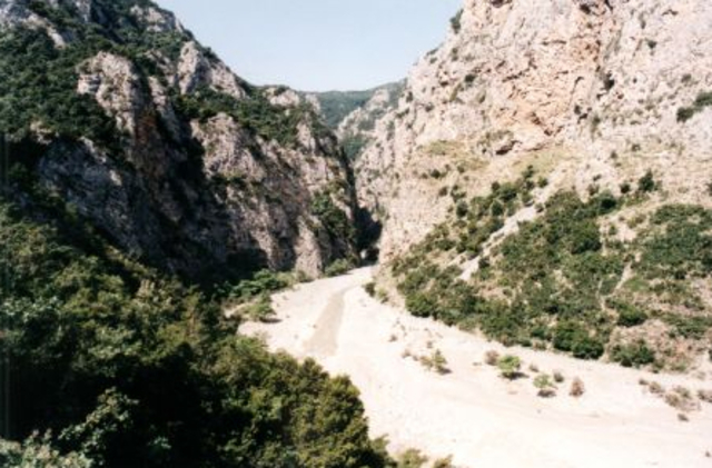 The Taste of Military Service