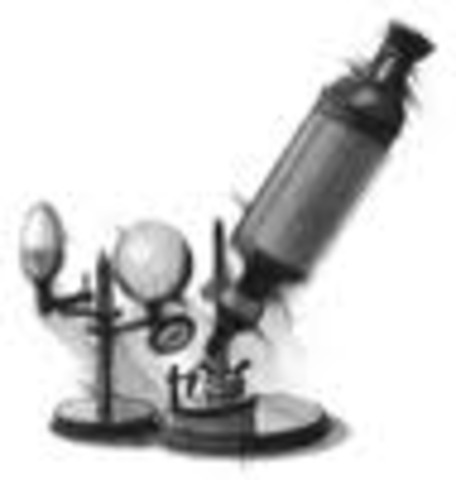 leeuwenhoek observa un globus vermell amb al primer microscopi