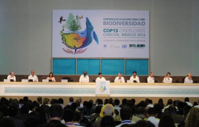 Conferencia de Naciones Unidas sobre biodiversidad.