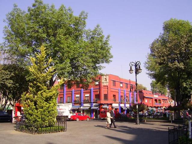 Directora General de Cultura