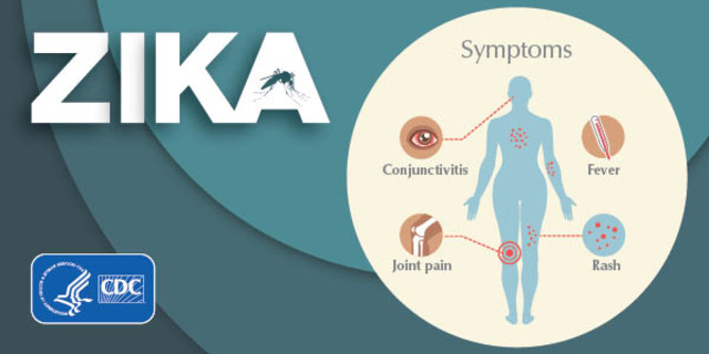 La OMS anuncia un brote del virus Zika