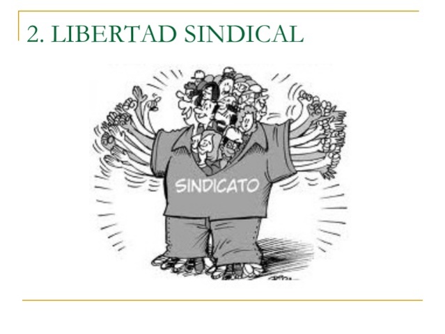 Libertad Sindical