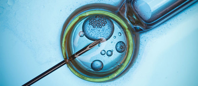 HITOS CIENTIFICOS QUE SE ESPERAN PARA ESTE 2016