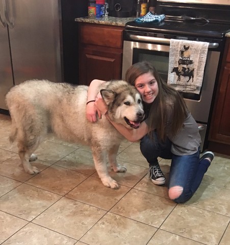 Adolescence (12 to 18 years)