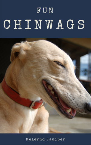 Jauiper's Fun Chinwags released