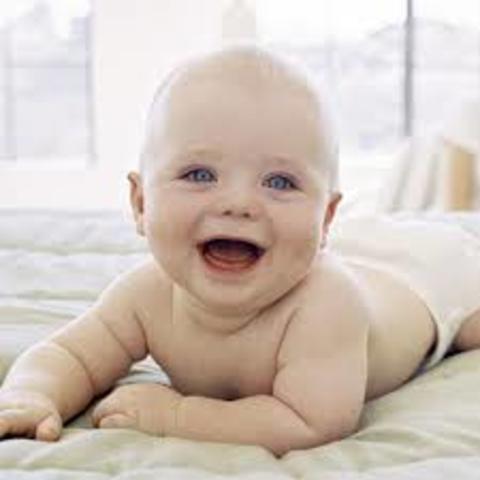 Baby lifts chin while laying on stomach