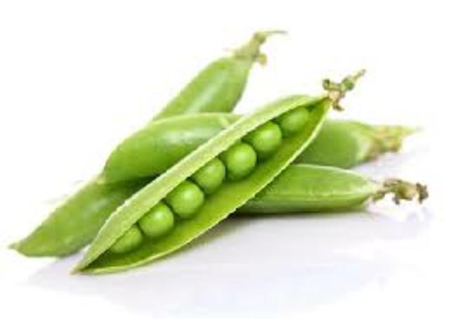 Gregor Mendel realitza els experiments amb pesoleres i neix la genètica