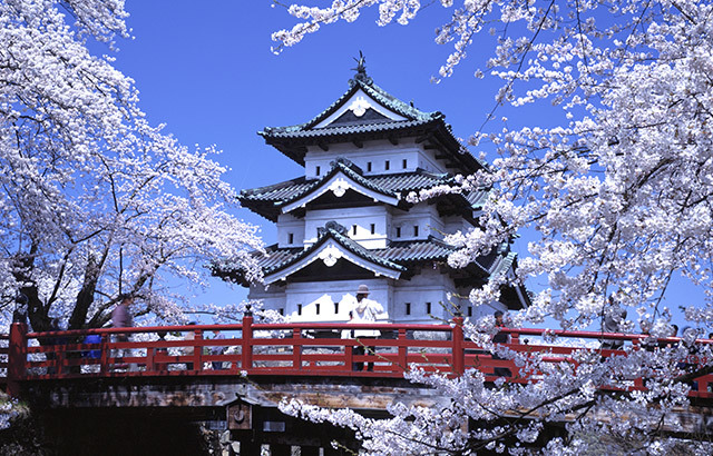 Estudiaré en el extranjero