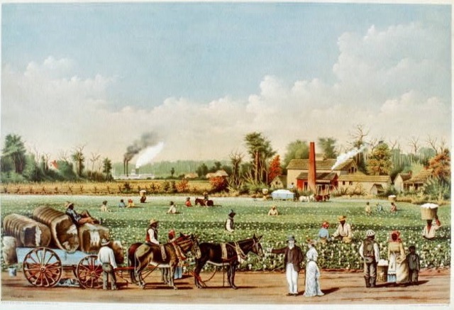 The Plantation System