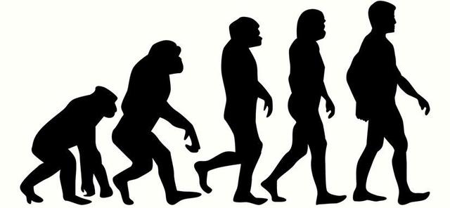 Teoría de la evolución