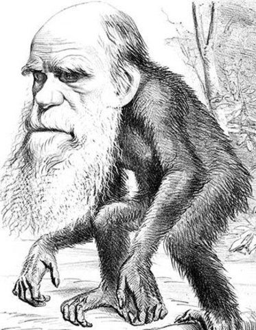 Publica The Descent of Man and Selection in Realtion to Sex (La descendencia humana y la selección sexual).