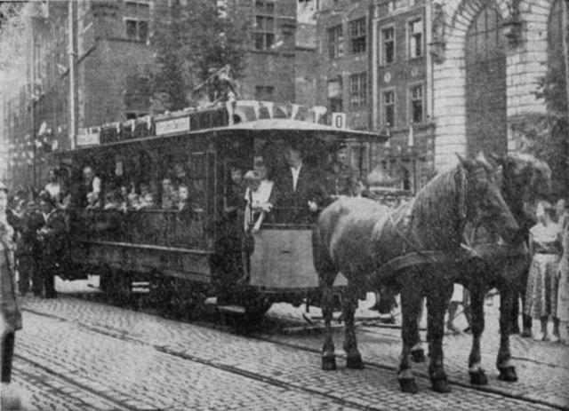 Horse-powered public transportation takes off