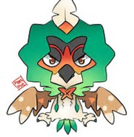 The birth of a Youtuber