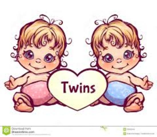Twin Sisters