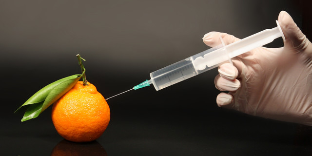Development of Genetically Modified Organisms
