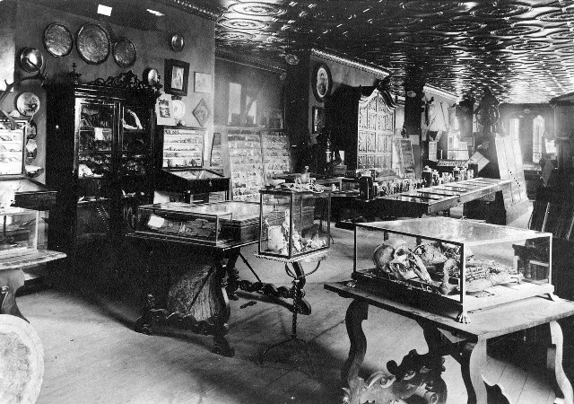 Museos Ciencias Naturales