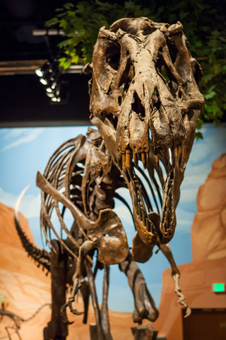 4-H Dinosaur Museum