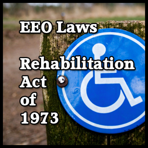 The Rehabilitation Act