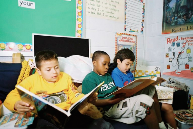 Emergency Immigration Education Act