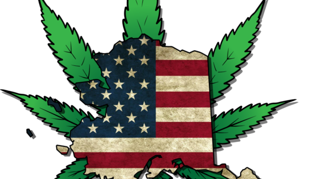 Legalizan la marihuana