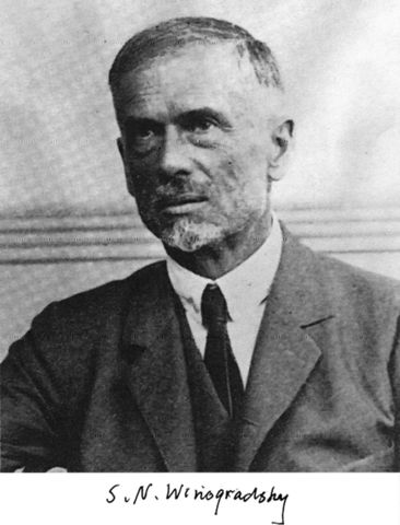 Sergei Winogradsky