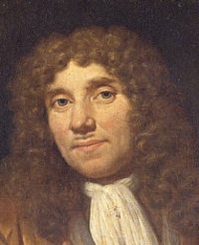 Primer microscopi. Leeuewnehoek observa globuls de la seva sang