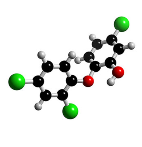 Leeuwenhoek observa bacteris de la seva boca