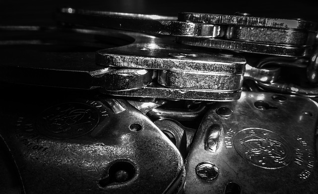 Thalmor Talons under arrest