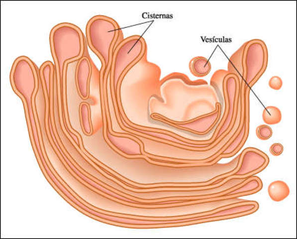 Descubriment de Golgi