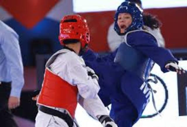 INICOS DEL TAEKWONDO